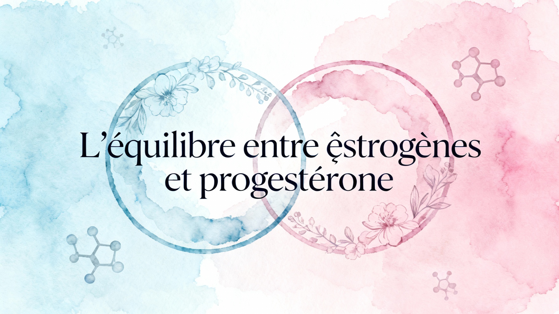 L’équilibre entre œstrogènes et progestérone